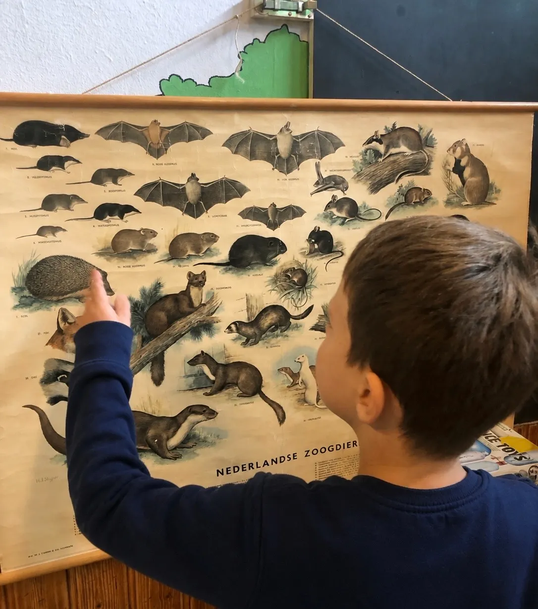 Leerling van de Renaissanceschool